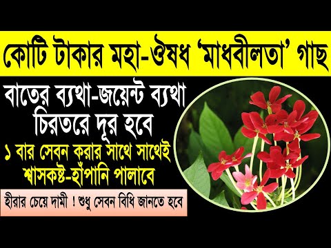 জয়েন্ট পেইন এর জন্য ঔষধি গাছ: প্রাকৃতিক নিরাময় পদ্ধতি