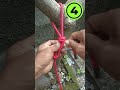 The Secret Knot They Don’t Teach You!