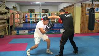 boxing Shiren beelii boks dasgal  4 Turbat