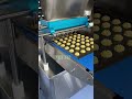 How To Make Butter Cookie By Multifunctional Cookie Depositor?