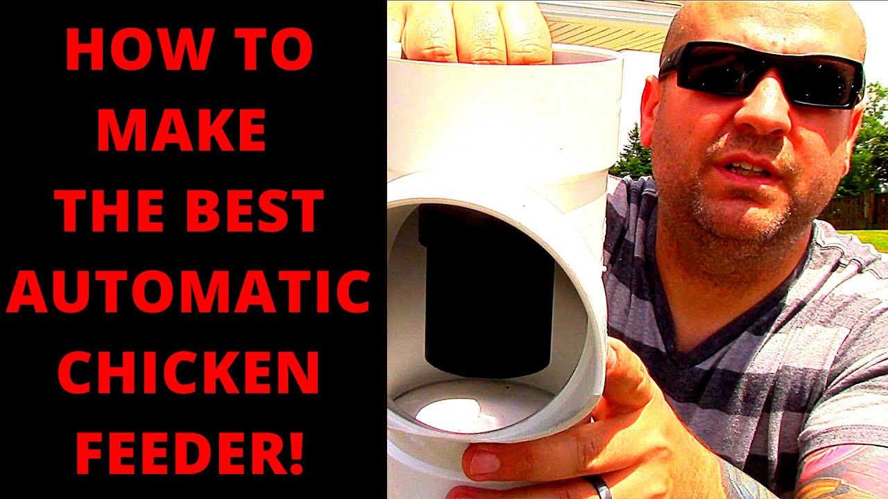 HOW TO Make The Ultimate Automatic Chicken Feeder! YouTube