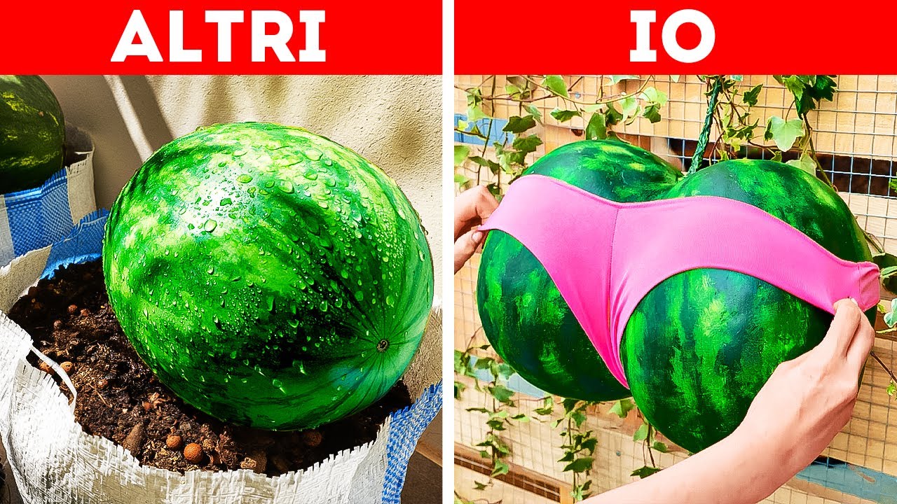 FAI CRESCERE I TUOI FRUTTI CON QUESTI TRUCCHI PER IL GIARDINAGGIO ✨🍉