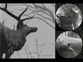 Agalloch  the mantle full album