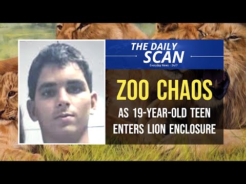 Teen Mauled by Lion After Climbing Wall to Brazilian Zoo Enclosure