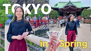 Whats Tokyo Like In Spring & Dont Make This Mistake