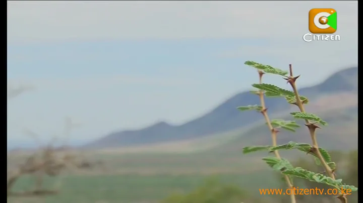 Guns In Turkana Women's hands