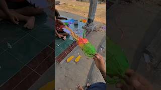 layangan naga dari teh gelas #layangan #layangannaga #banteng #bocil #keren #naga