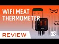 Govee WiFi Meat Thermometer Review // Best Wireless Smart Meat Thermometer