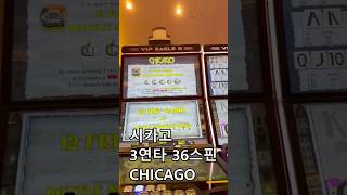 시카고 3연타(36스핀) 보너스 CHICAGO 강원랜드 인기슬롯머신 #casino #slot #slotmachine #카지노