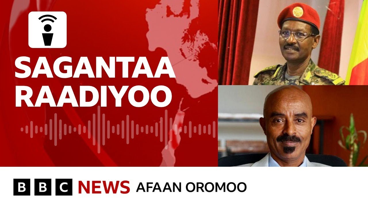 Ajajaa olaanaa waraana Itoophiyaa waa'ee TPLF kan dubbatan | BBC News Afaan Oromoo