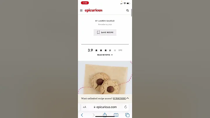 iPhone "Speak Selection" Feature
