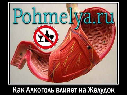 Как Алкоголь влияет на Желудок Pohmelya.ru
