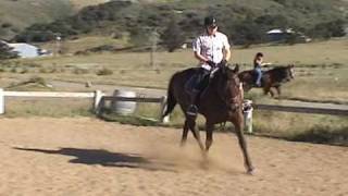 Working with Maverick Flat Training (ex- Racehorse) - OTTB