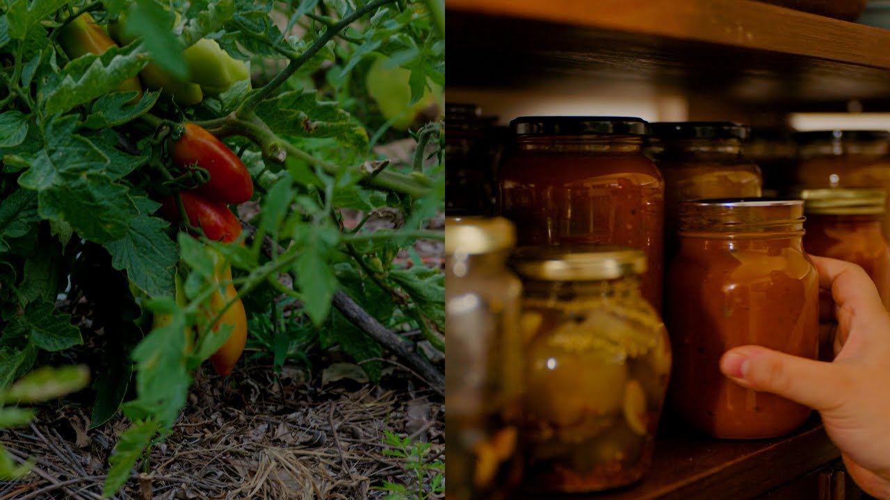 Cosecha de tomates y salsa horneada de mi nonna