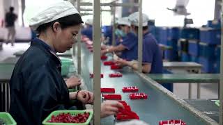 Chinas Q3 Gdp Growth Slows To One-Year Low Reuters