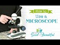 Microscope Basics and Usage Quiz