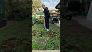 Weeding with the dutch hoe