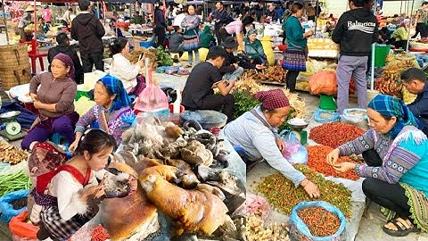 Dân vùng cao / Du Khách ‘Đổ Gục’ Trước Ẩm Thực Tây Bắc và Gia Tài Thảo Dược Của Chợ Phiên”