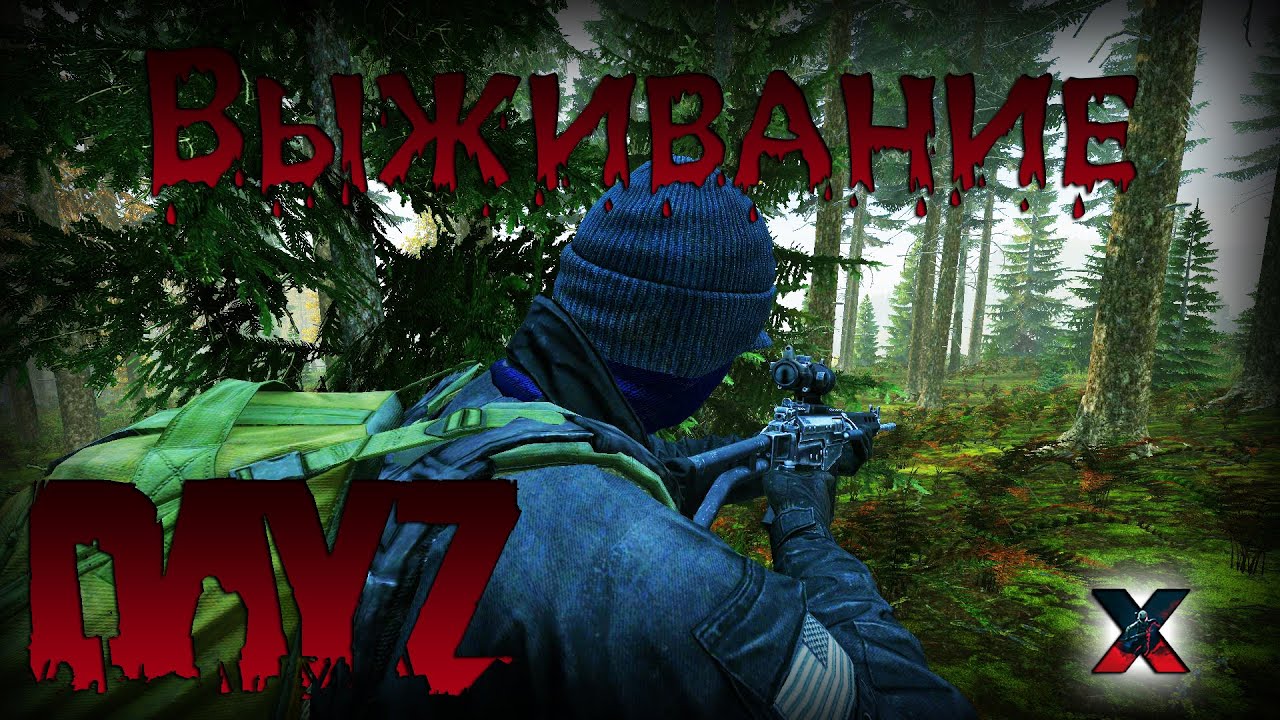 Охотничий прицел DAYZ. DAYZ бункер. DAYZ баги. Дейзи рейд.