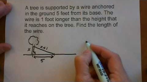 polynomial equation word problem SB 5.7 #3
