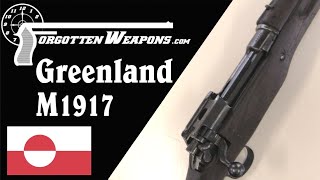 Hunting Rifles for Greenland: M1917 Enfield