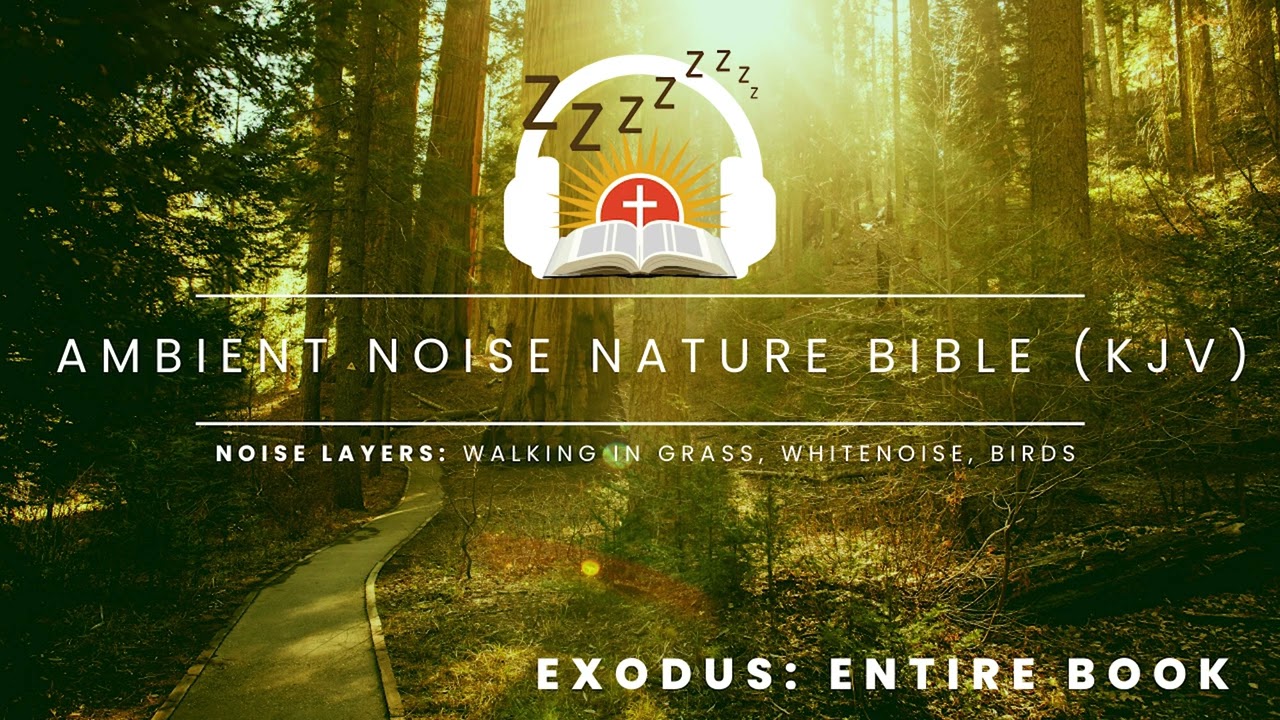 KJV Bible book of Exodus with White Noise, Sounds of Nature, & Hiking Audio for Sleep & Mediation