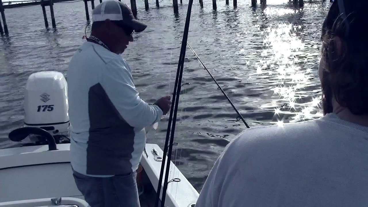 Fishing Charters Clearwater Dunedin Palm Harbor Captain Brian Inshore