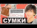 ТРЕНДЫ СУМОК | IT Сумки 2021, Где Купить Аналоги в Масс-Маркете, Как Выбрать Идеальную Сумку