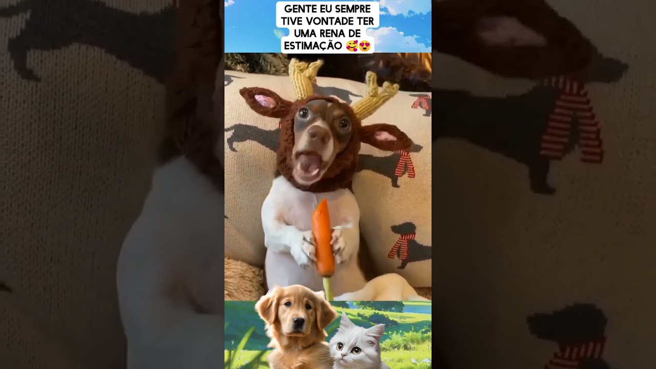 Guys I've always wanted a pet reindeer 