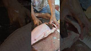 Increadible Giant Katla Fish Cutting Live In Fish Market Part-1 