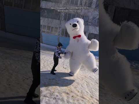 Волгоградский медведь в гололед поздравил мальчика с Днём Рождения❄️ #белыймедведьволгоград #мишка