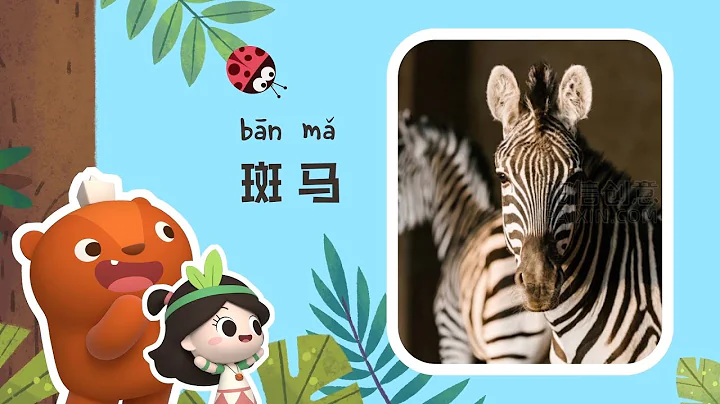 幼兒科普 | 認識動物 | 為什麼斑馬會有條紋? | Learn from Nature | Kids Cartoons [ENG CC] - 天天要聞