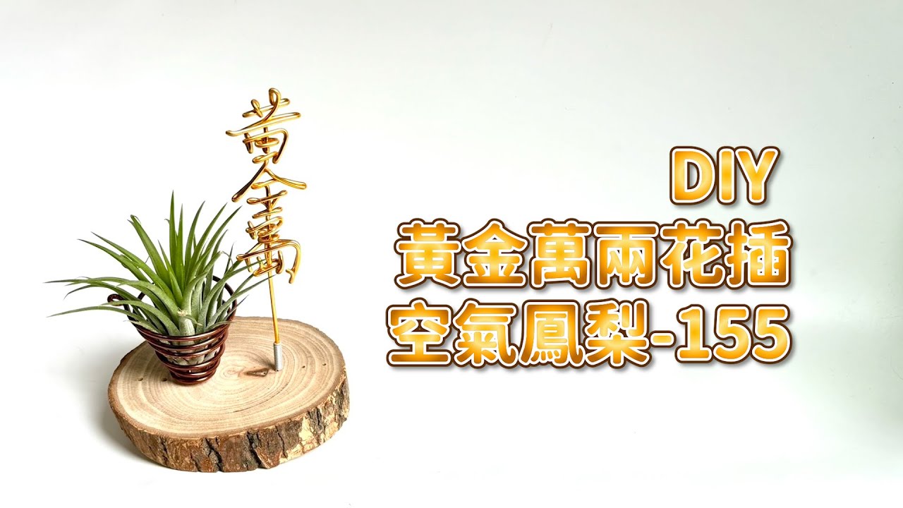 DIY wire 教你如何使用彩色鋁線製作空氣鳳梨 黃金萬兩花插 How to make Aluminum wire Air plant flowerstand gold