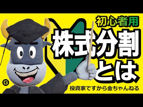 株式分割とは【銀ちゃんの投資の勉強】