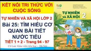 TỰ NHIÊN VÀ XÃ HỘI LỚP 2/KẾT NỐI TRI THỨC/BÀI 25: TÌM HIỂU CƠ QUAN BÀI TIẾT NƯỚC TIỂU( Trang 94-97)