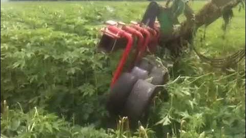 Mechanical Weed Puller Demonstration