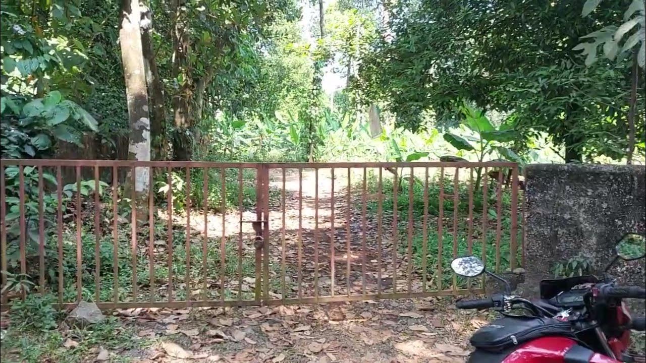 30 Cents Land For Sale In Jordhanapuram Angamaly Price 3 Lakh Cent 30-cents-land-for-sale-in-jordhanapuram-angamaly-price-3-lakh-cent