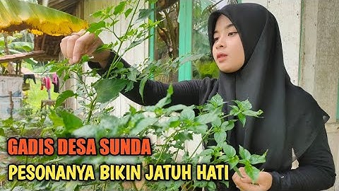 Neng Sela..!! Gadis Desa Cantik & Rajin, Aktivitas Keseharian Di Kampung Terpencil