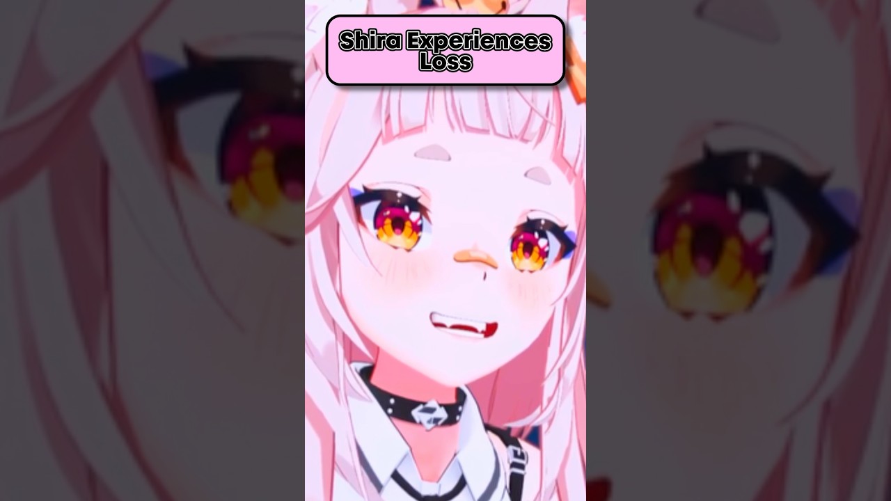 Shirahiko Experience