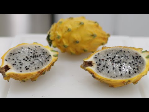 황룡과일 먹는법 (Pitahaya, Pitaya) | 맛 테스트