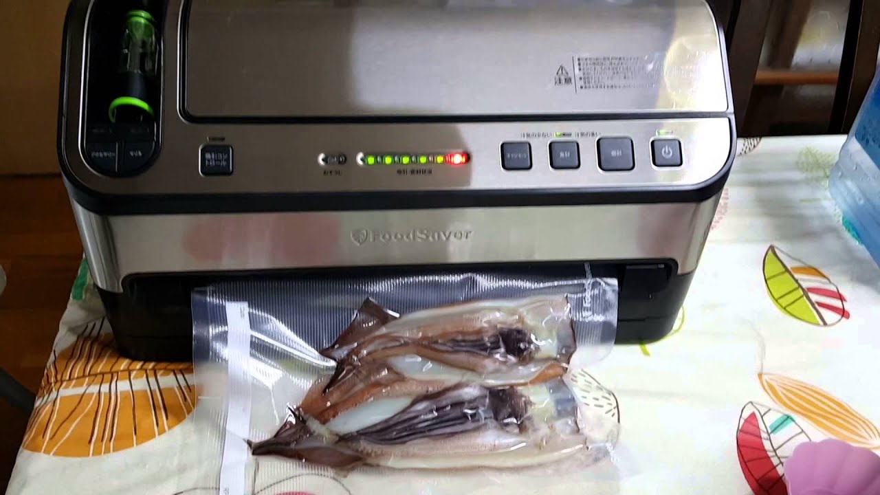 foodsaver v4880 manual