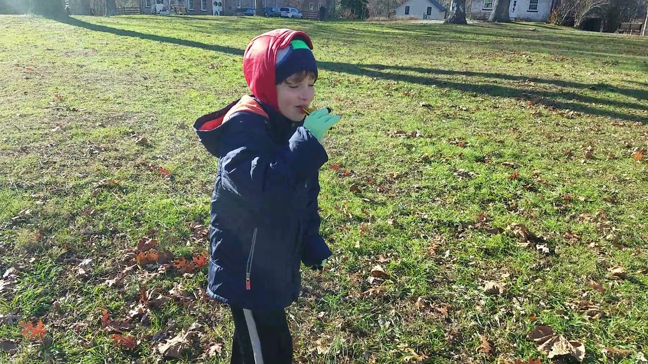 Kazoo instrument YouTube