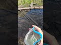Cnoc Water Bag Fill Up #shorts short