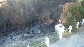 O PINHAL visto do PONTO NOVO / S. PEDRO MOEL a 15 de NOVEMBRO Após o fogo 15 de Outubro de 2017