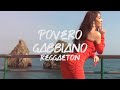 Povero gabbiano reggaeton