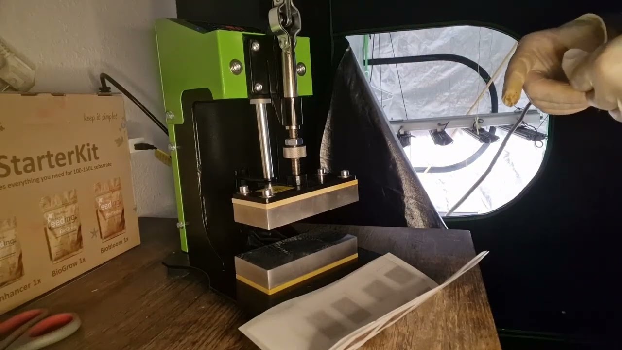 Günstige Rosin Presse Test, 1X!! ICH BIN KEIN PROFI🤣  Frische Blüten aus Spaß! EXPERIMENT!!