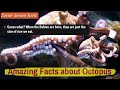 Octopus unknown facts by home academy