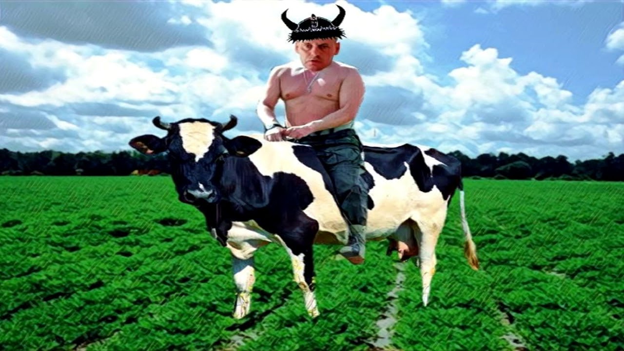 Bjorn kill a cow ( Prod Control Gang) (AUDIO) YouTube