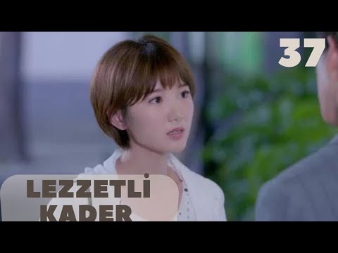 Lezzetli Kader l 37. Bölüm l Delicious Destiny l Mao Xiaotong , Alen Fang l 美味奇缘