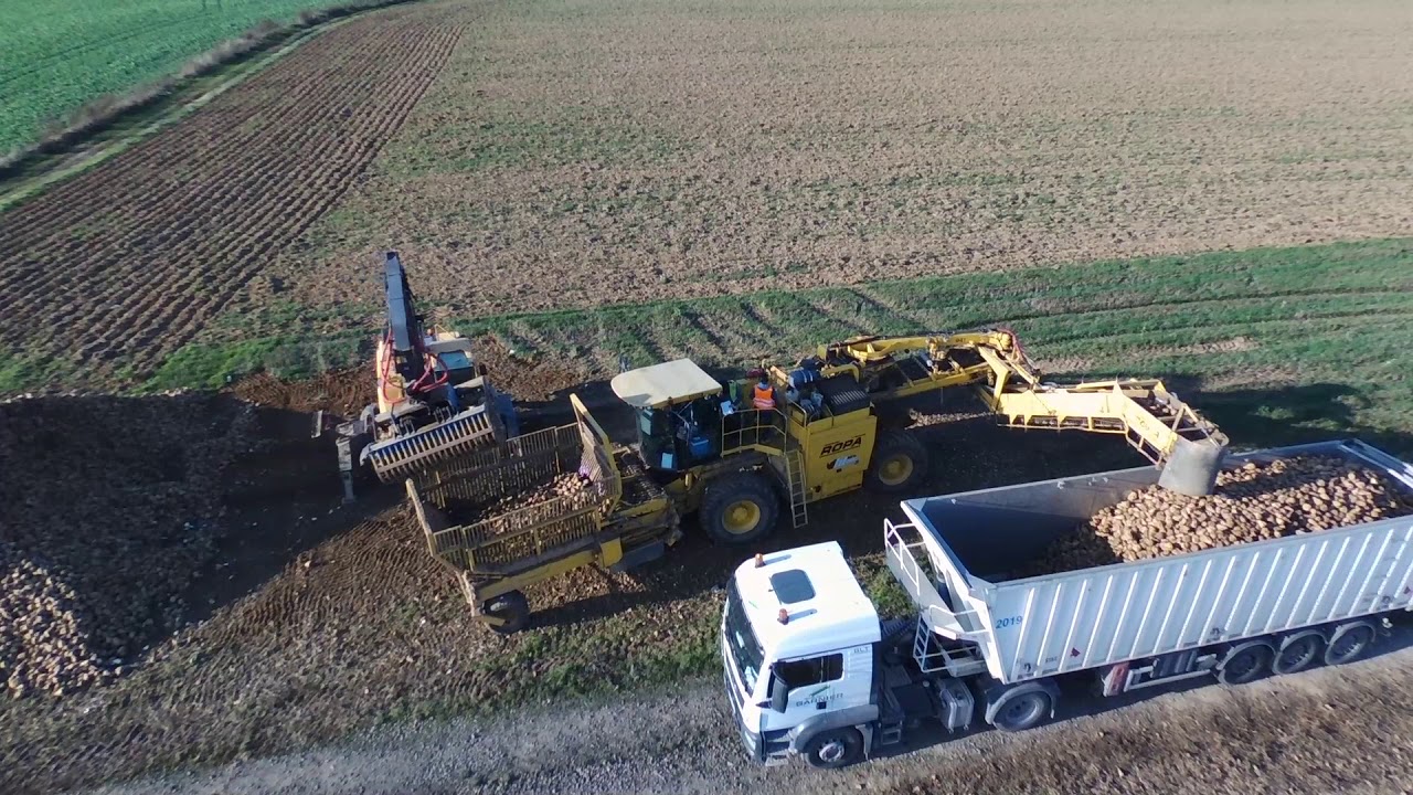 Chargement de betteraves 2017 | Ropa maus 3 | Volvo EW180D